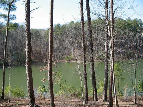 4819 Waterford Way, Jasper, GA 30143