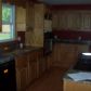 204 Pyle St, Carrier Mills, IL 62917 ID:576178