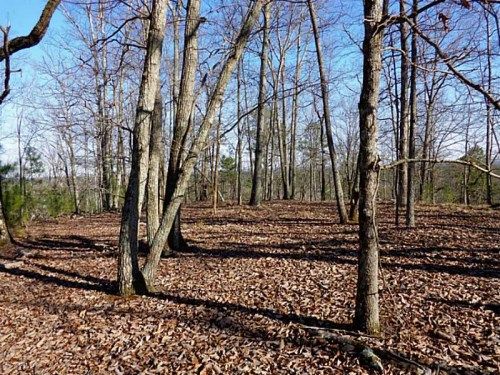 31 Macedonia Road, White, GA 30184