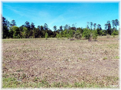 10100 FM 1097 W, , TX 77318