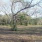 100 Acres FM 539, La Vernia, TX 78121 ID:8509239
