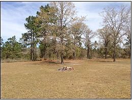 Wood Rd - Home On 5 Acres, Chipley, FL 32428