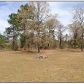 Wood Rd - Home On 5 Acres, Chipley, FL 32428 ID:8586405