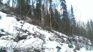 000 Mountain Road, Chugiak, AK 99567