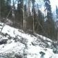 000 Mountain Road, Chugiak, AK 99567 ID:8684638