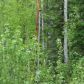 24413 W Willow Parkway, Willow, AK 99688 ID:8651497