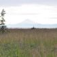 36875 Chinulna Drive, Kenai, AK 99611 ID:8486641