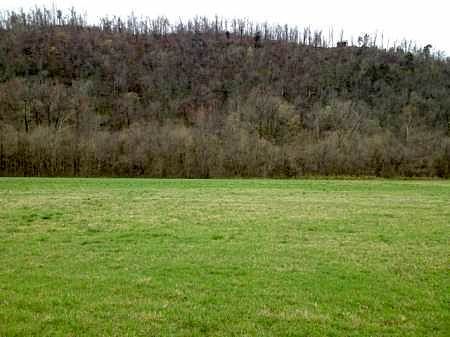 Cr 108, Norfork, AR 72658