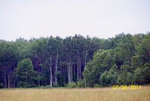 572 West M-72, Barton City, MI 48705