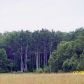 572 West M-72, Barton City, MI 48705 ID:774423