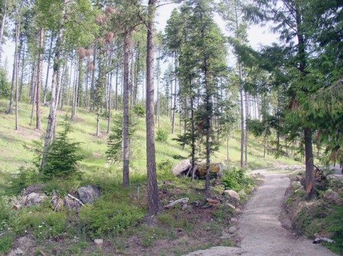 Lot #13 Forest Knolls Drive, Sandpoint, ID 83864