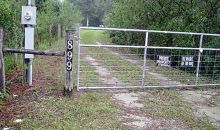 899 Lake Harney Road Osteen, FL 32764