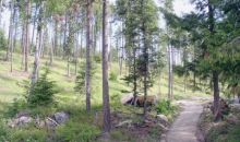 Lot #13 Forest Knolls Drive Sandpoint, ID 83864