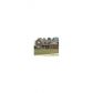 1109 Fountain Crest Drive, Conyers, GA 30013 ID:8729770