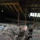 155 S Hicks St, Harlem, GA 30814 ID:8766725