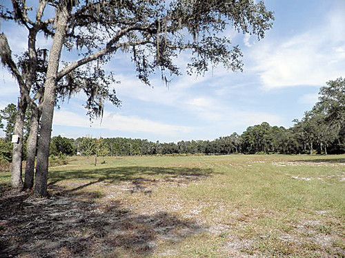 111 Rose Walk Lane, Georgetown, FL 32139