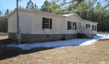 38 Sand Hill Loop Mauk, GA 31058