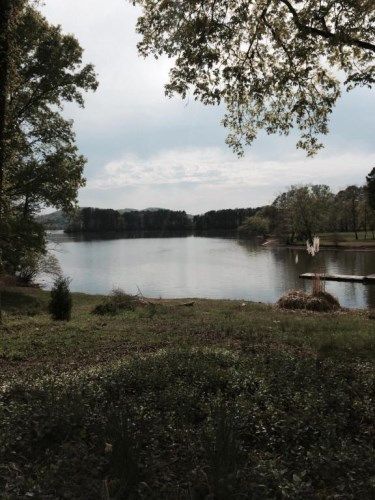 1060 Paint Rock Ferry Rd, Kingston, TN 37763