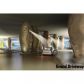465 BRICKELL AV # 806, Miami, FL 33131 ID:8484027