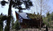 37 French Loop Cascade, ID 83611