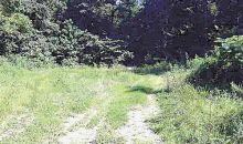 Lot 25 Long Beard Lane Tazewell, TN 37879