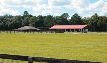 3850 SE 219 AVE Morriston, FL 32668