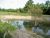 17303 Auction Barn Arendtsville, PA 17303
