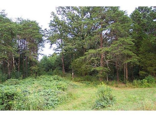 0 Spring Place Road, White, GA 30184