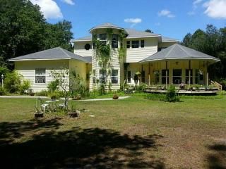 1470 Deer Path Drive, Osteen, FL 32764