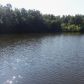 65 LAW 259, Powhatan, AR 72458 ID:1169414