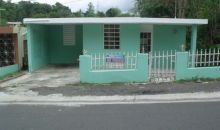 50 Del Plata-Toita Cayey, PR 00736