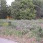 Lot 8 A Fiddletown Road, Volcano, CA 95689 ID:2099287