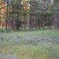 Lot 8 A Fiddletown Road, Volcano, CA 95689 ID:2099300
