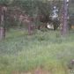 Lot 8 A Fiddletown Road, Volcano, CA 95689 ID:2099289