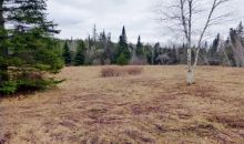 00 Buzzell road North Troy, VT 05859