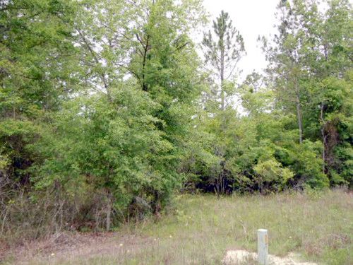 109th Drive, O Brien, FL 32071