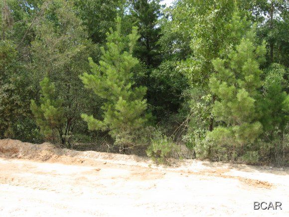 3126 LUCAS LAKE, Chipley, FL 32428