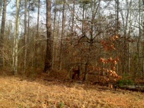 Acres Hwy 5 Flint Rd, Douglasville, GA 30135