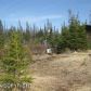 33674 Sandhill Crane Way, Homer, AK 99603 ID:8455500