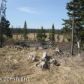 33674 Sandhill Crane Way, Homer, AK 99603 ID:8455496