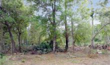 495 Olivia Lane Osteen, FL 32764