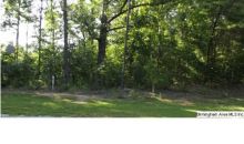 4 TOE RIVER LN LOT4 Cropwell, AL 35054
