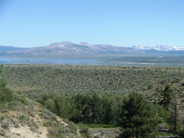 Mono City 7, Lee Vining, CA 93541