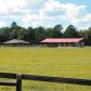 3850 SE 219 AVE, Morriston, FL 32668 ID:8740186