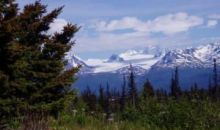 35436 Alpine Meadow Drive Homer, AK 99603
