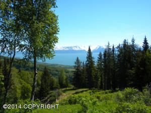 5760 Scenic Place, Homer, AK 99603
