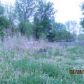 2903 Westlake Dr, Sedalia, MO 65301 ID:8839128