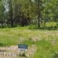 L2 Golden Plover Avenue, Homer, AK 99603 ID:8410812