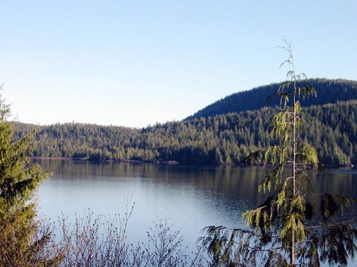 11.5 Mile South Tongas Highway, Ketchikan, AK 99901