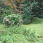 59 Possum Hollow Rd, Bat Cave, NC 28710 ID:832774
